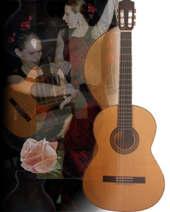 Hilit Maniv, Flamenco Dancer, Choreographer and Flamenco Teacher